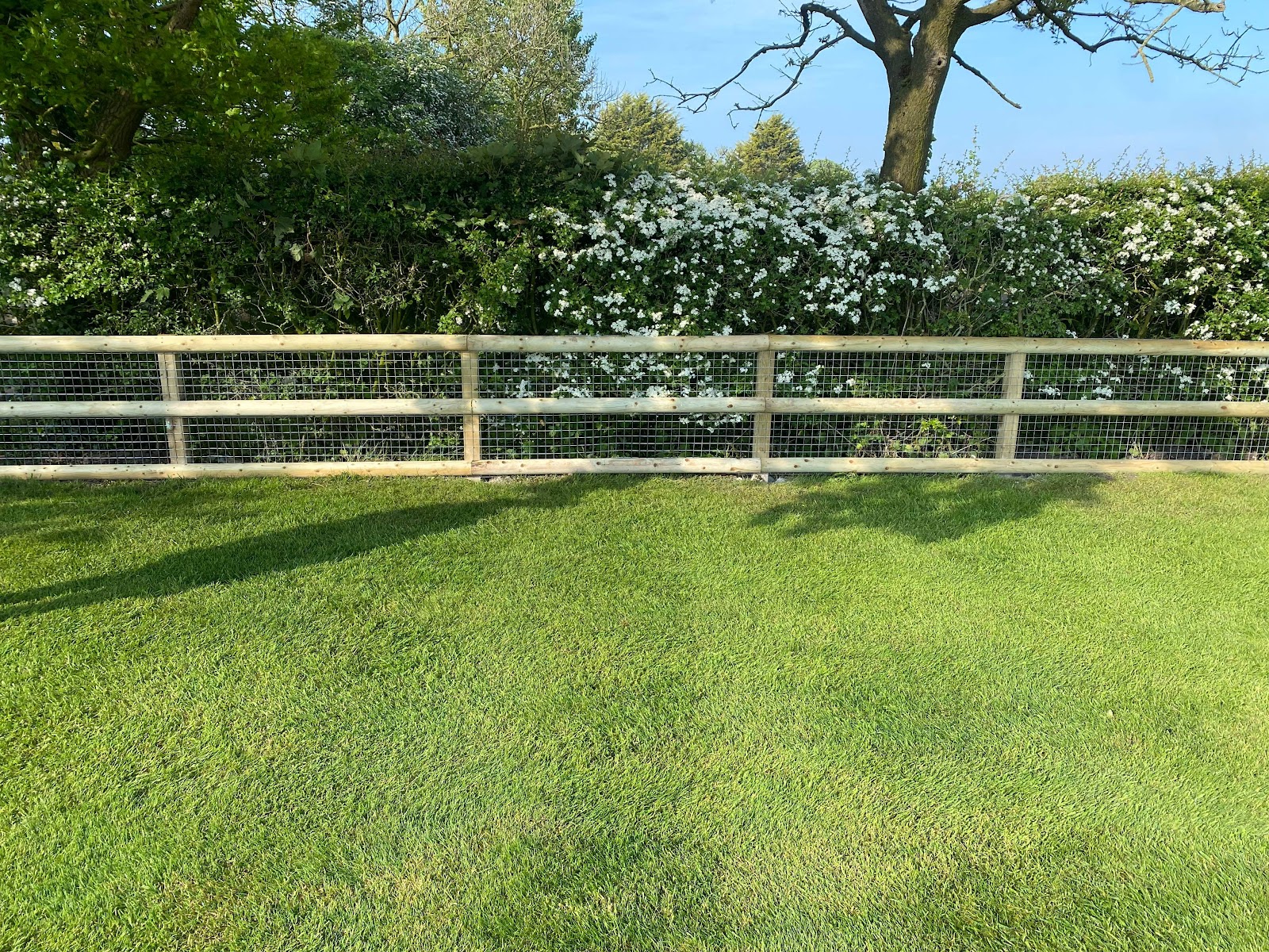 Garden fence transformation Preston
